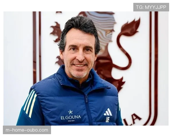 埃梅里解析维拉数据表现 球队控球率占据优势 埃梅里解析维拉数据表现 球队控球率占据优势